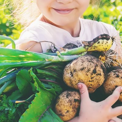 produits sans gluten et bio