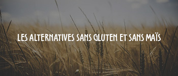 alternatives_sans_gluten