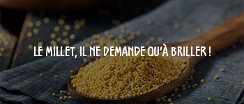 millet_sans_gluten