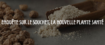 souchet